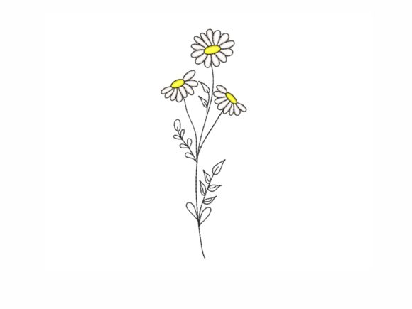 Daisy
